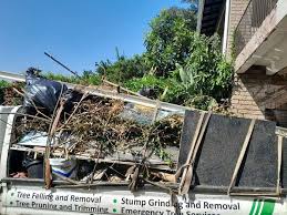 Types of Items We Remove From Your Property in Rutherford College, NC